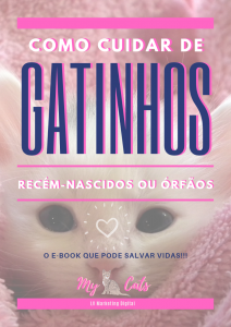 Como cuidar de um gatinho recém-nascido órfão • Tiendanimal Blog