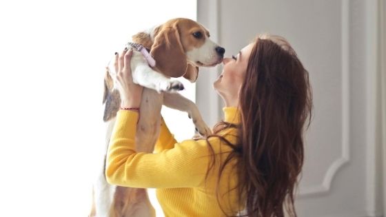 retome-o-vinculo-afetivo-com-seu-cachorro